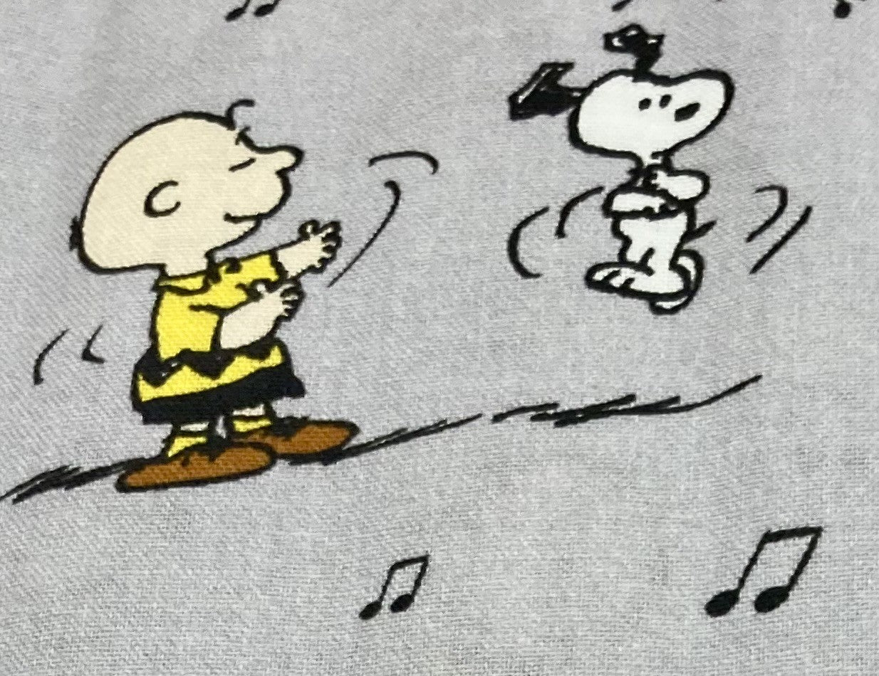 Best Charlie Brown and Snoopy Blanket