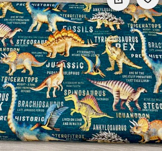 Cool Dinosaur Blanket with their names