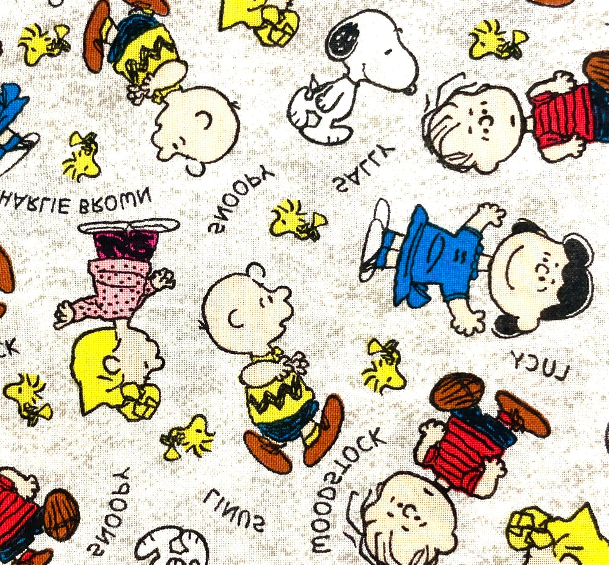 Cutest Peanuts, Charlie Brown, Snoopy blanket ever! Reversible! – www ...